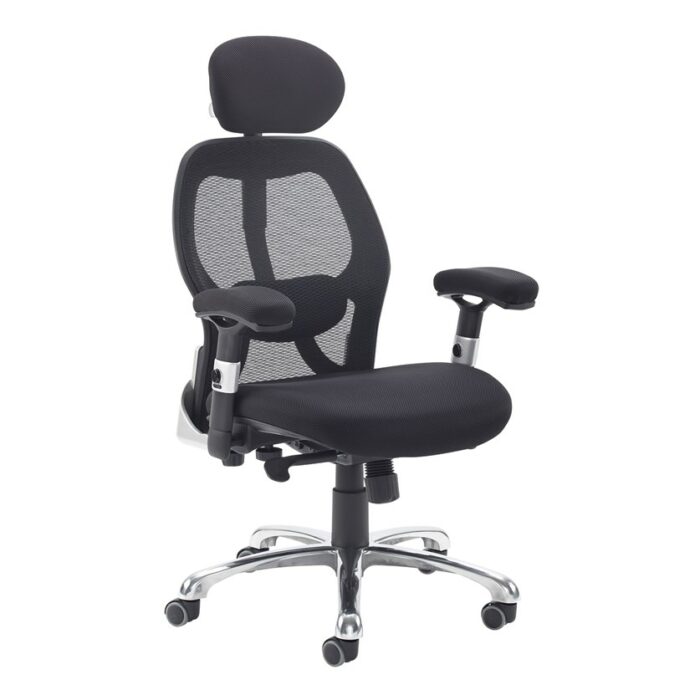 Dams Sandro mesh back executive chair-0