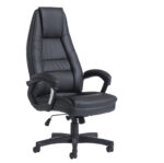 Dams Noble leather executive chair-0