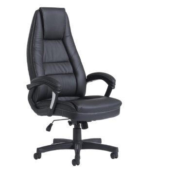 Dams Noble leather executive chair-0