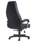 Dams Noble leather executive chair-10571