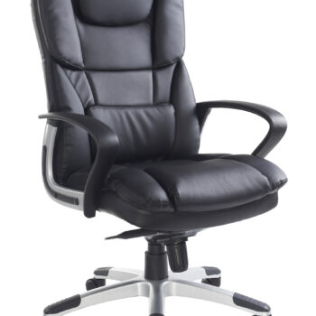 Dams Palermo leather executive chair-0