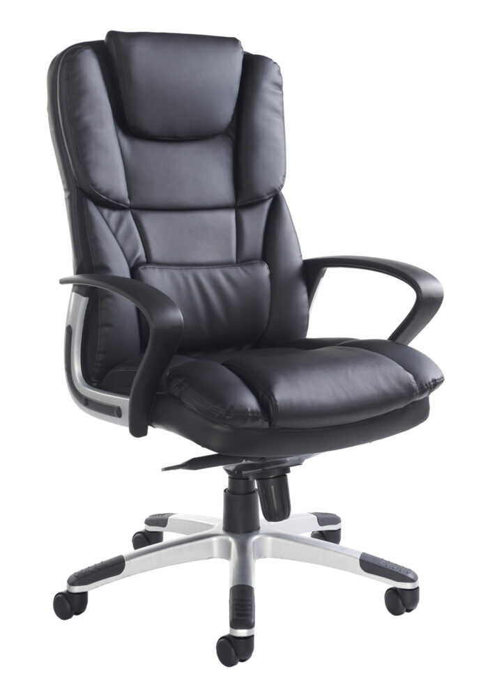 Dams Palermo leather executive chair-0