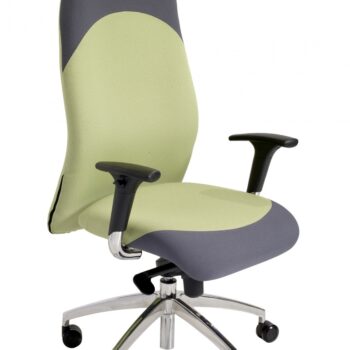 Alliance LION Chrome High Back Task Chair with Chrome Task Adjustable Arms-0