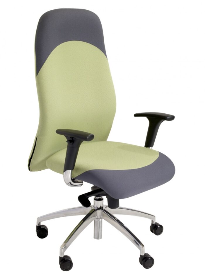 Alliance LION Chrome High Back Task Chair with Chrome Task Adjustable Arms-0