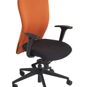 Alliance Macza Executive Task Chair with Task Adjustable Arms-0