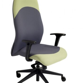 Alliance Tiger High Back Task Chair with Task Adjustable Arms-0