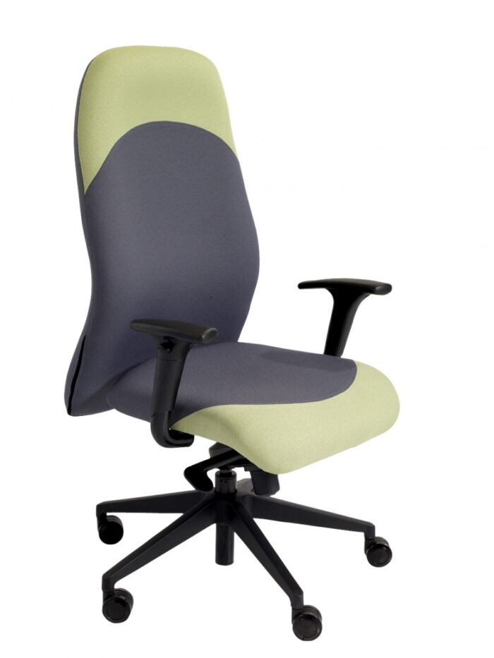 Alliance Tiger High Back Task Chair with Task Adjustable Arms-0