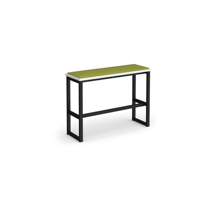 DAMS Otto Poseur benching solution high bench 1050mm wide with upholstered seat pad-27556