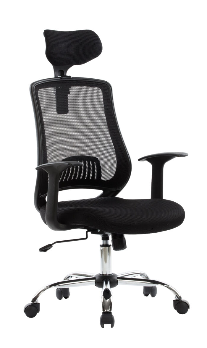 Dorel Alphason Florida Chair-0