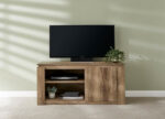 GFW Canyon Oak Compact TV Unit-40704