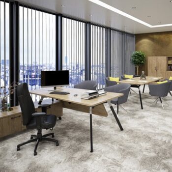 SHOC Premium Executive Office Bundle